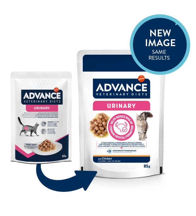 Wet Urinary Cat 85 g x 12 vnt.