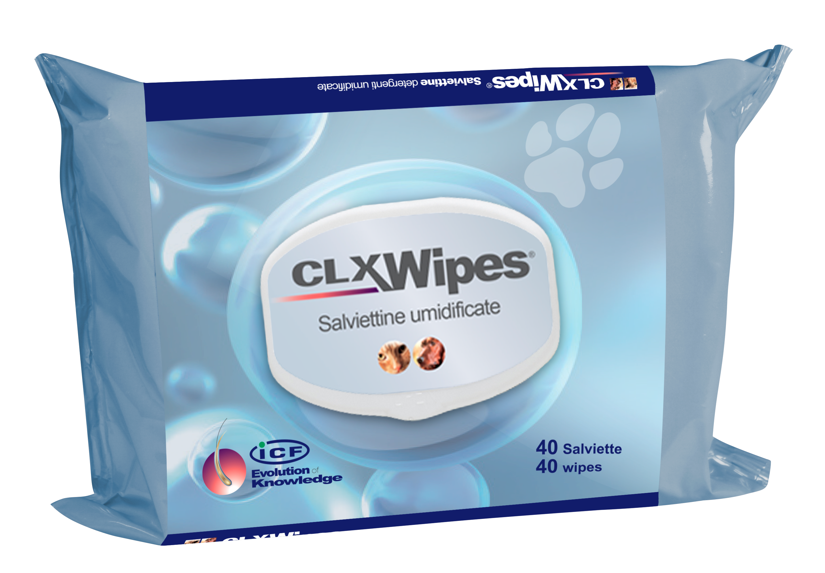 CLX Wipes N40