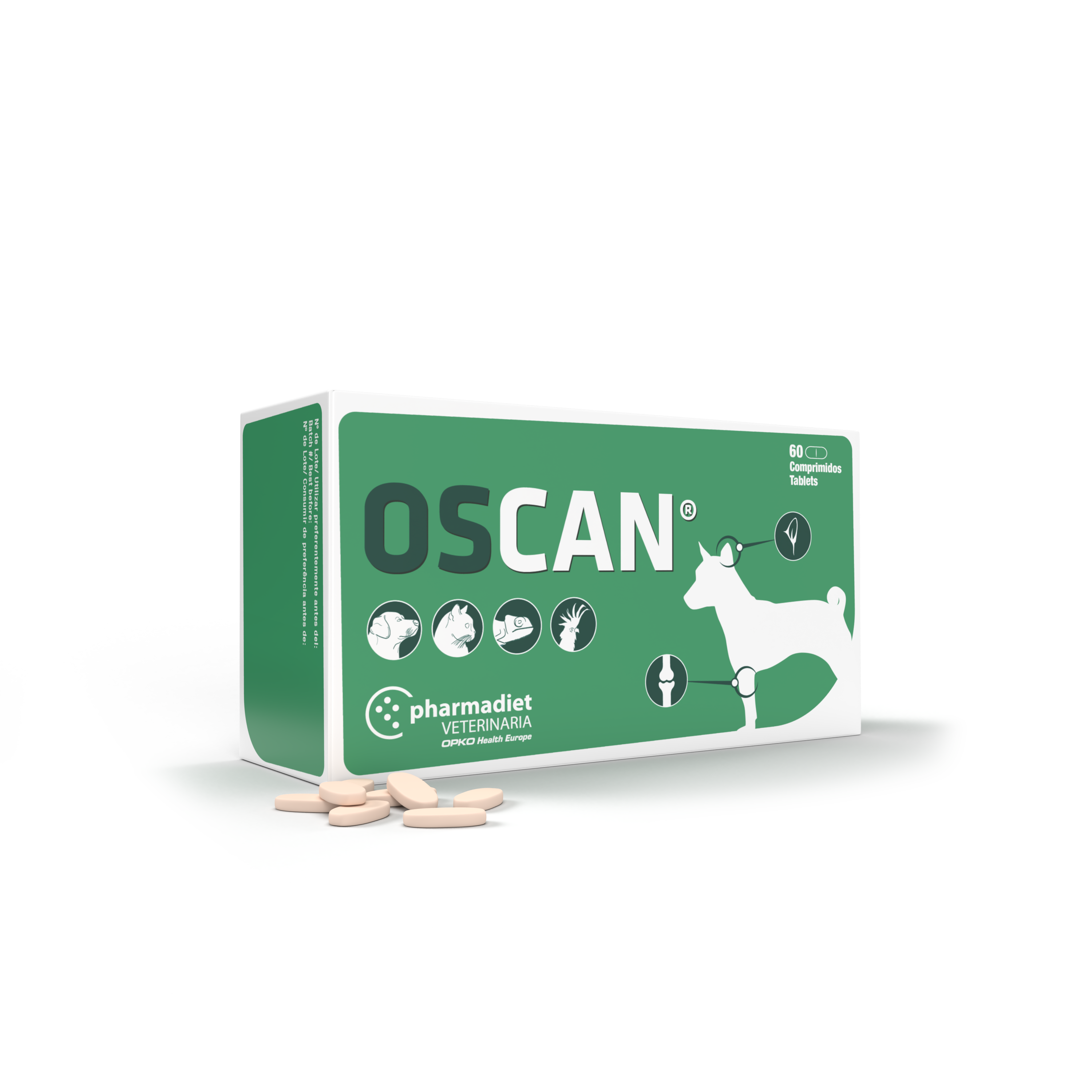Oscan N60