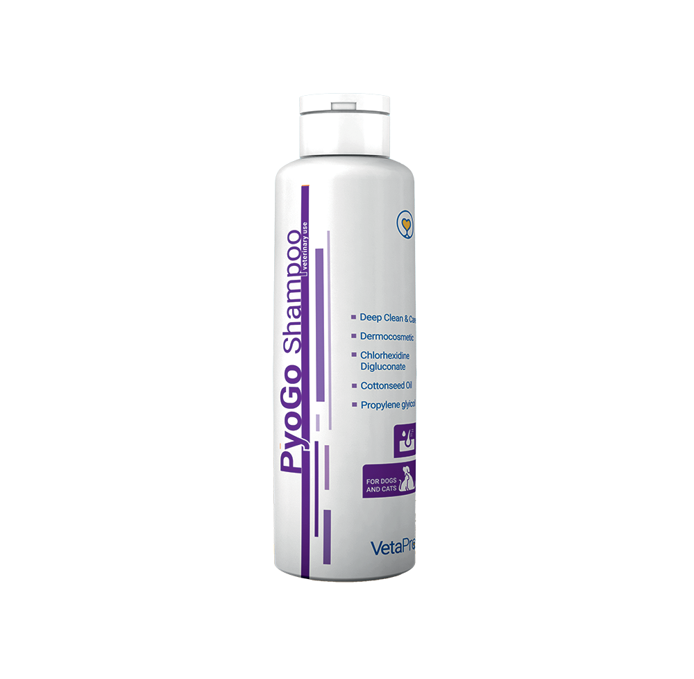 PyoGo Shampoo 250 ml