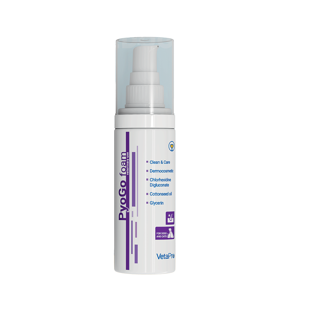 Pyogo Foam 150 ml